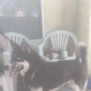 Meet your Posher, Brad